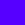 Violet fluo (10)