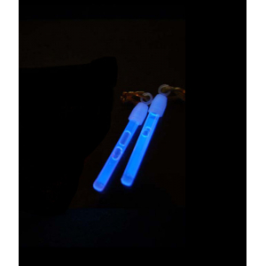 boucles d'oreilles bleues.