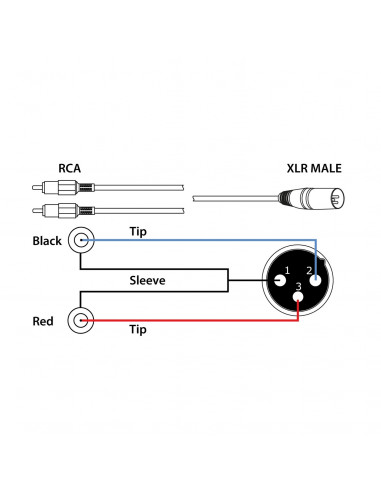 Câble de raccordement XLR mâle à 2 fiches RCA phono y, 1 connecteur mâle XLR  à 3 broches mâle RCA double