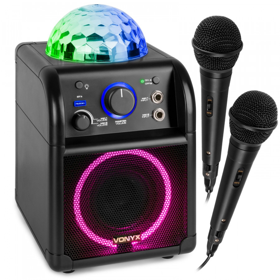 Set karaoke 2 micro sans fil + station