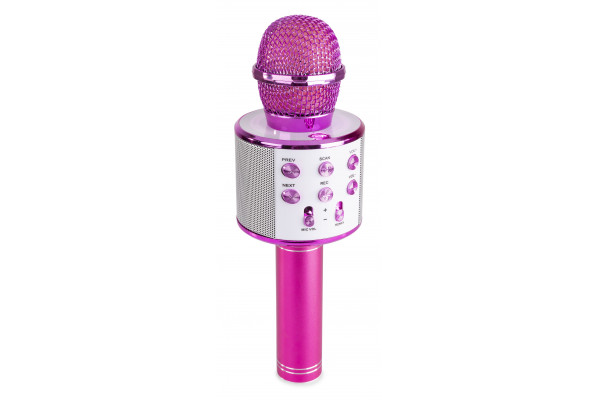 karaoke micro rose