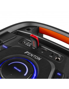 FT15LED Enceinte Sono Portable avec Batterie 15'' - 800W, Streaming Audio  Bluetooth, USB/SD/AUX, Micro sans Fil, Eclairage LED, Facile à Transporter,  Parfaite comme Enceinte Sono Extérieure : : High-Tech