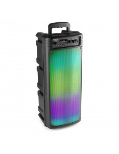 Enceintes, baffle et amplis DJ Fenton FT208LED Enceinte sono portable  Bluetooth avec Batterie 2 x 8, puissance 500W, Enceinte portable avec  roulettes, USB, SD