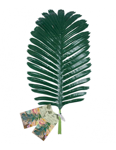 feuilles de palmier