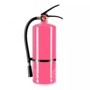 extincteur poudre holi rose