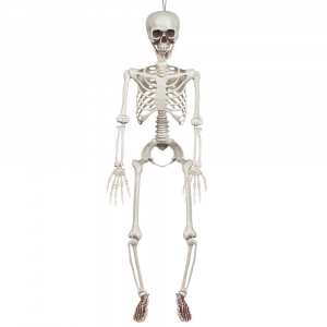 squelette suspendu