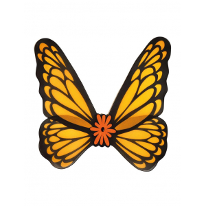 aile papillon orange