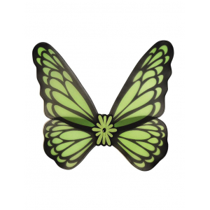 ailes papillon vert