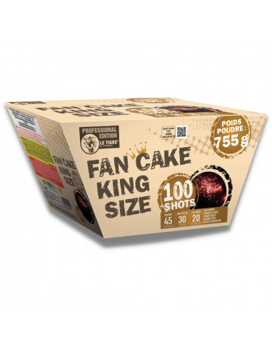 Feu d'artifice COMPACT EVENTAIL FAN CAKE KING SIZE 100 SHOTS
