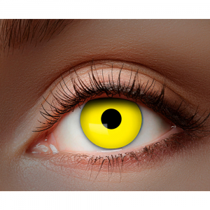 lentilles jaune