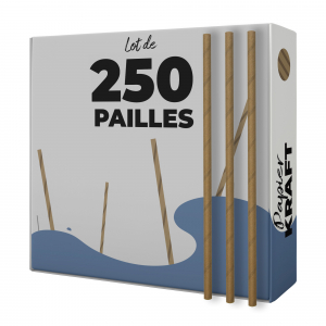 boîte de 250 pailles en papier kraft