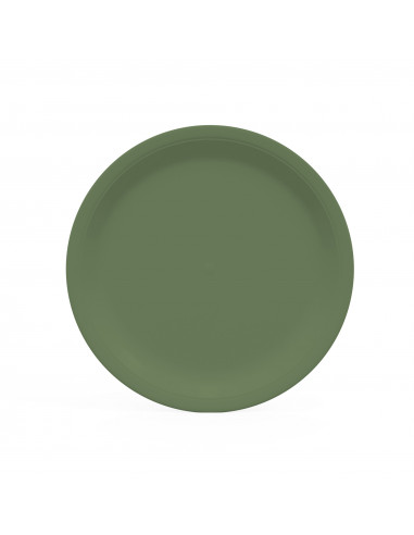 assiette en carton de couleur vert olive