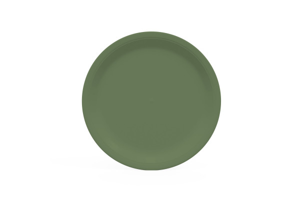 assiette en carton de couleur vert olive