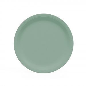 Assiette en carton vert d'eau