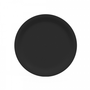assiette en carton noire