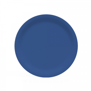 assiette en carton bleu marine