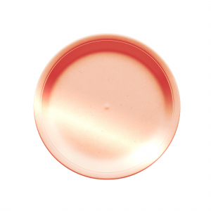 assiette en carton rose gold