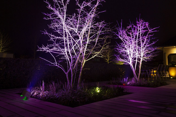 par a led effets arbres