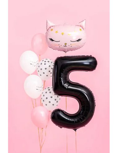 ballon chiffre 5 noir chat