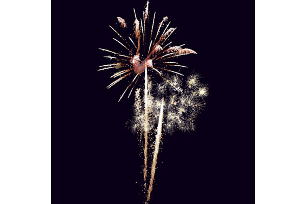 Feu d'artifice Champs-Elysées Mariage tableau 6