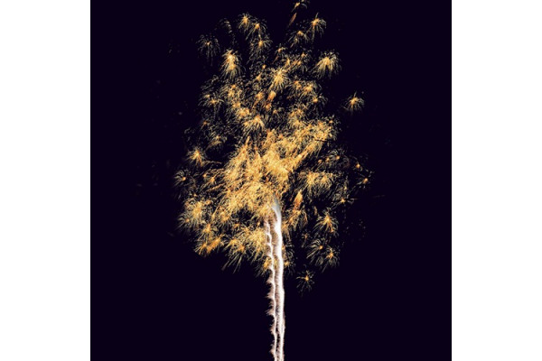 Feu d'artifice ShowBox® Fascination tableau 6