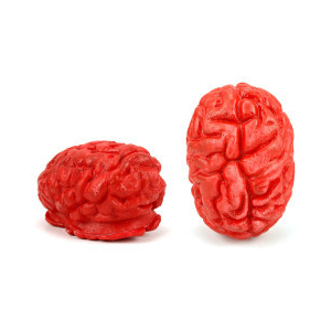 faux cerveau humain Deco halloween