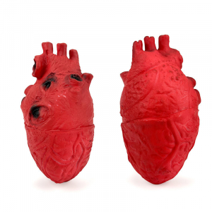 faux coeur humain halloween
