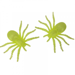 araignees phosphorescentes