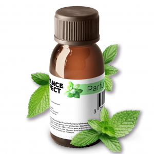 Additif pour liquide machine à fumée arôme menthe ambiance