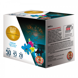 Feu d'artifice FIDJI –...