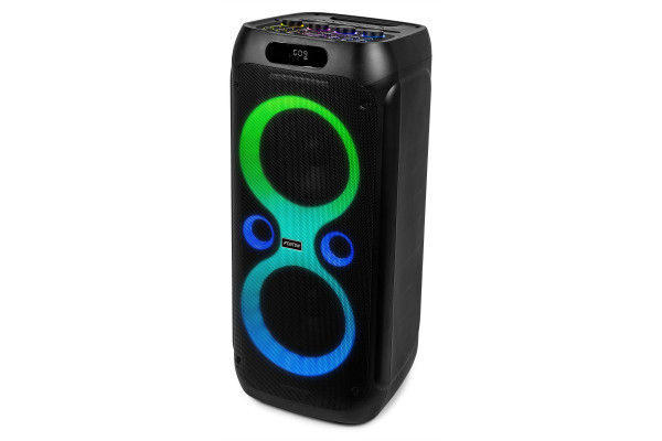 karaoke enceinte professionnel