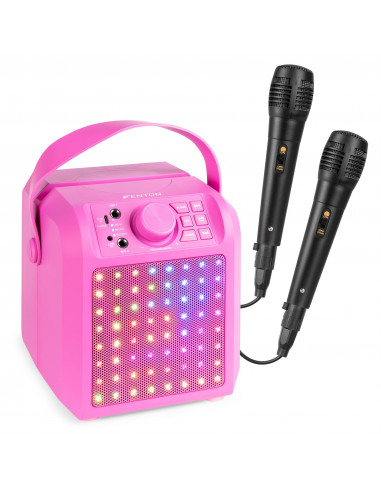 enceinte karaoke rose