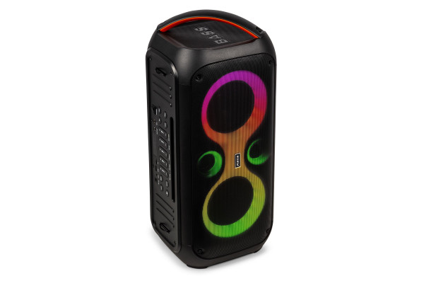 enceinte karaoke micro