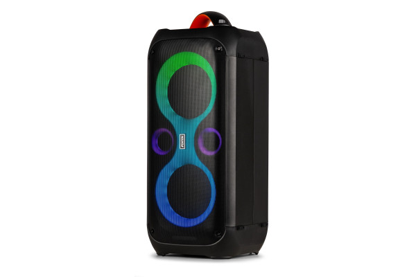 enceinte karaoke pro