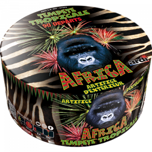 Feu d'Artifice TEMPÊTE®...