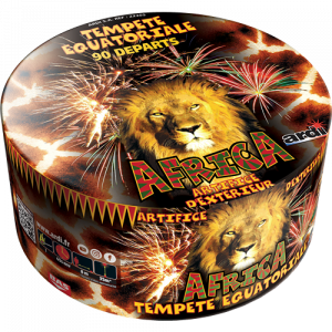 Feu d'Artifice TEMPÊTE®...