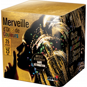 Feu d'Artifice POUDRE AUX...