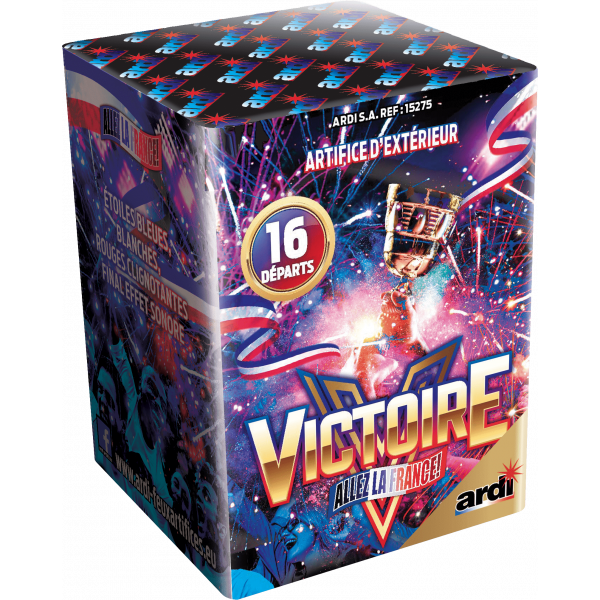 Feu d'Artifice ALLEZ LA FRANCE® -...