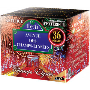 Feu d'Artifice...