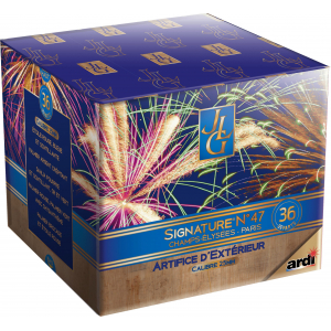 Feu d'Artifice JLG...