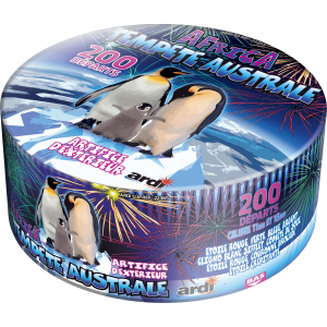 Feu d'Artifice TEMPÊTE®...