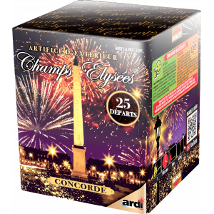 Feu d'Artifice...