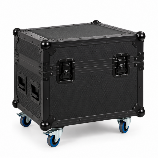 Flight case 1 IN 1 pour BIGGEST SPARK...