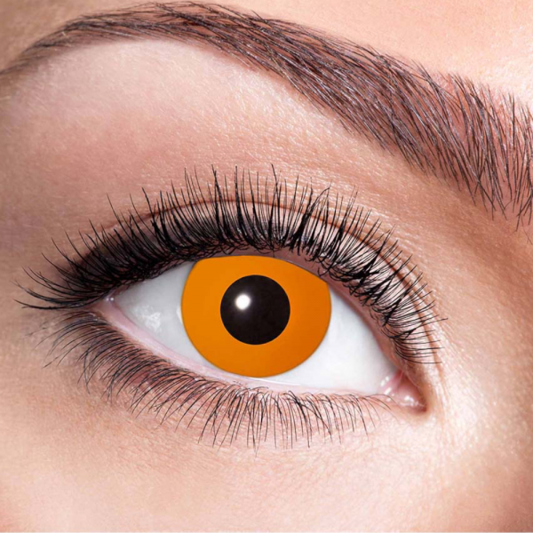 Lentilles Orange Citrouille – Lentilles Halloween