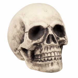 Tête de Mort Géante 27 x 27 x 38 cm – Décoration Halloween