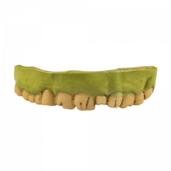 Dents de Zombie – Accessoire Déguisement Halloween