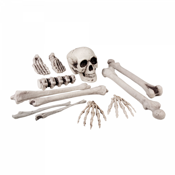 Lot de 12 Têtes de Mort et Os 23 cm – Décoration Halloween