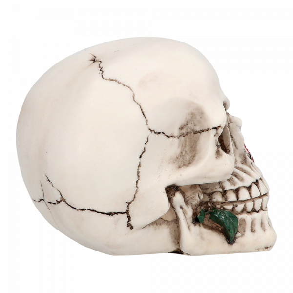 Tête de Mort avec Rose 10 x 10,5 x 13 cm – Décoration Halloween