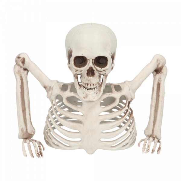 Squelette Sortant du Sol 20 cm – Décoration Halloween