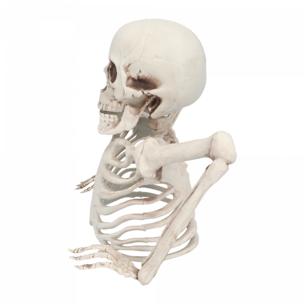 Squelette Sortant du Sol 20 cm – Décoration Halloween
